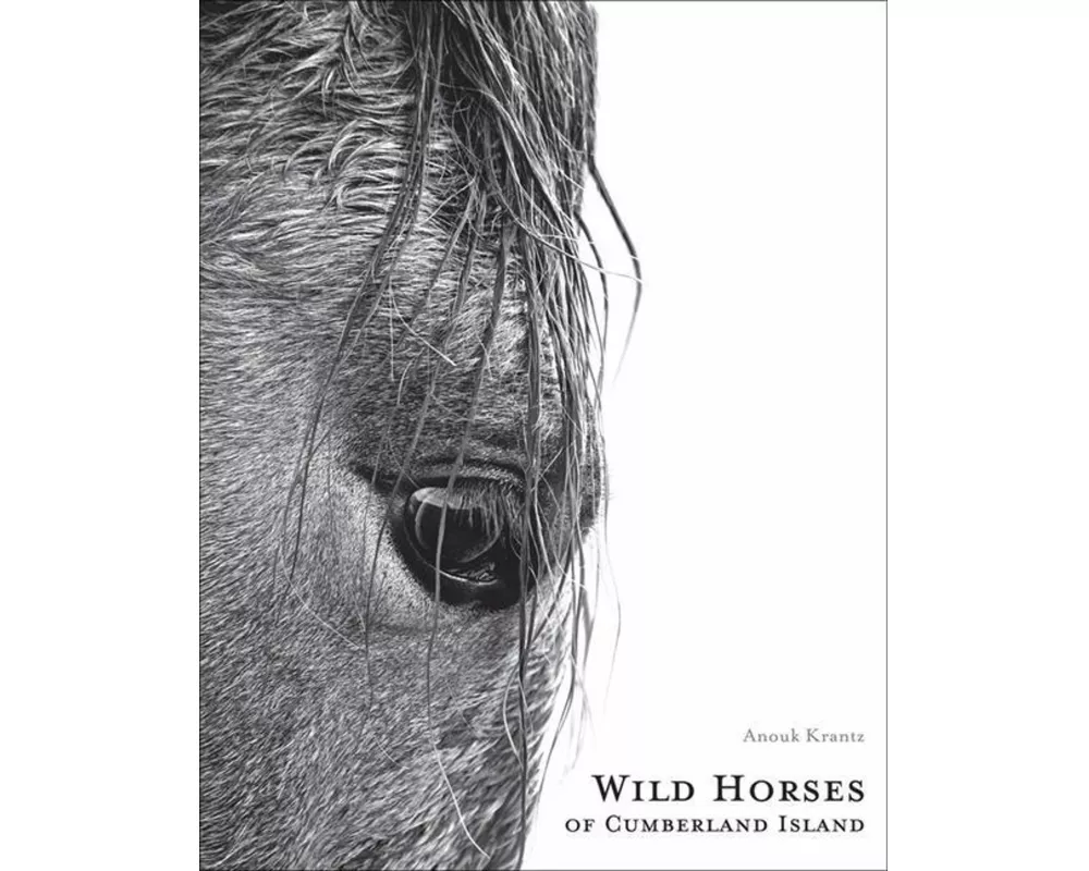 Wild Horses of Cumberland Island
