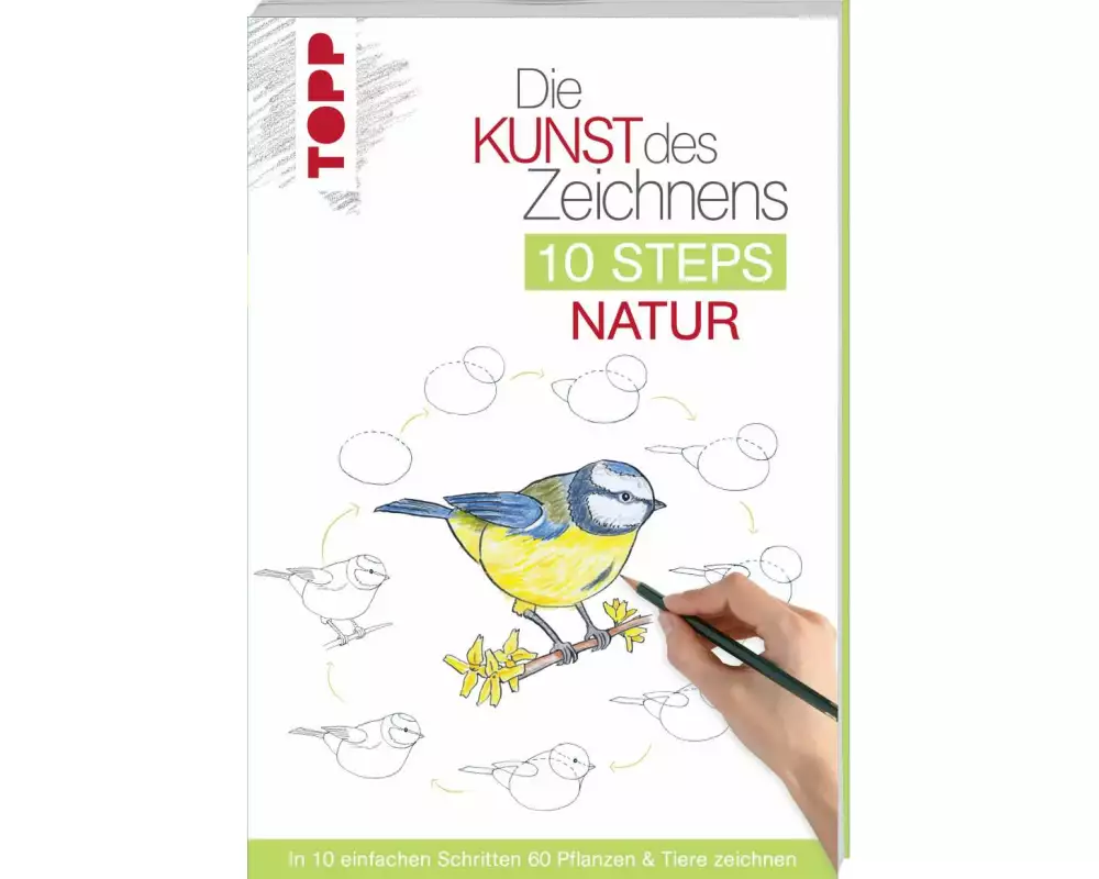 Die Kunst des Zeichnens 10 Steps - Natur