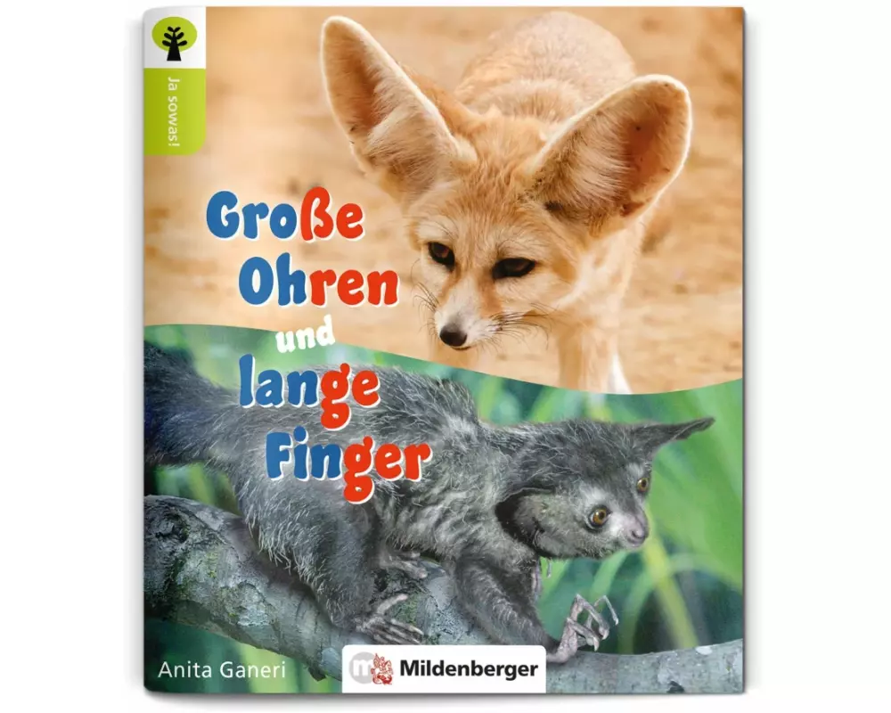 Ja sowas! Große Ohren und lange Finger