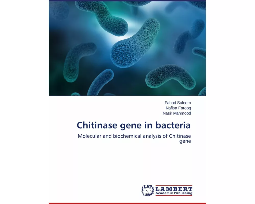 Chitinase gene in bacteria