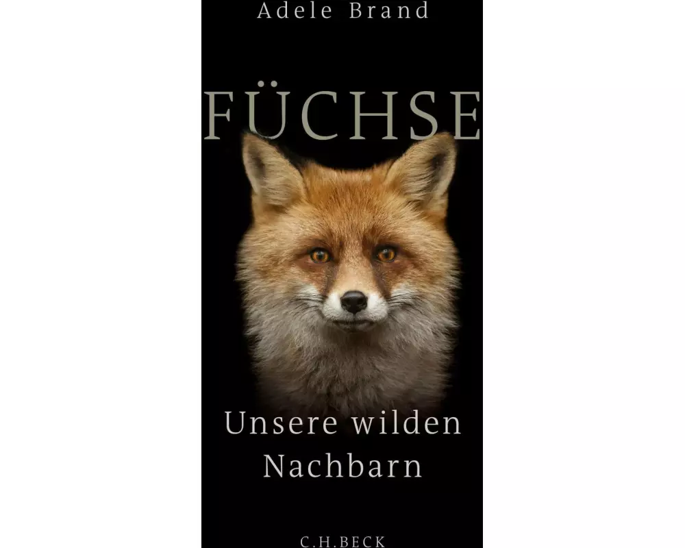 Füchse