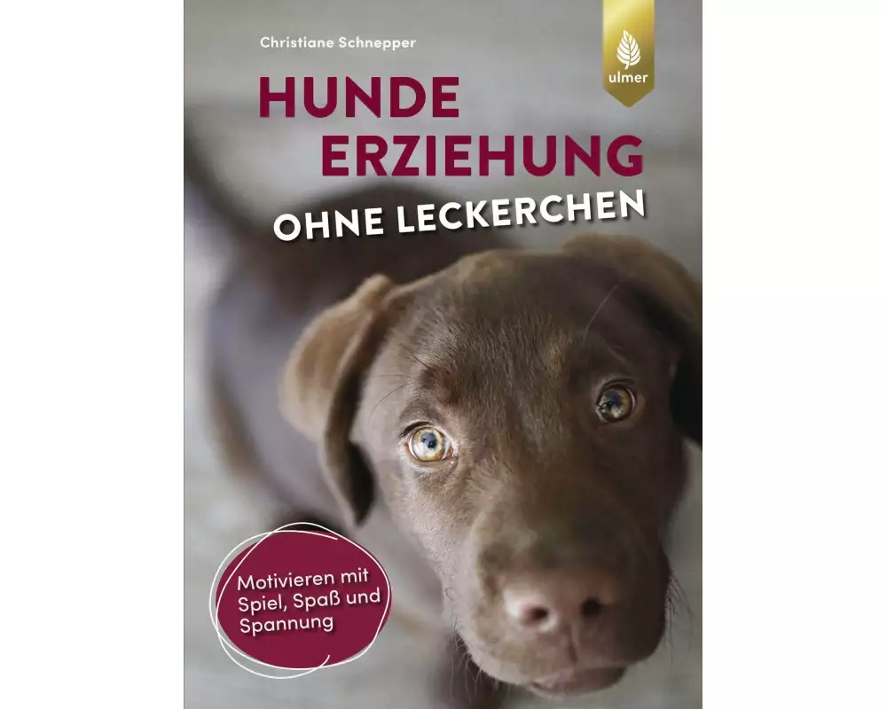Hundeerziehung ohne Leckerchen