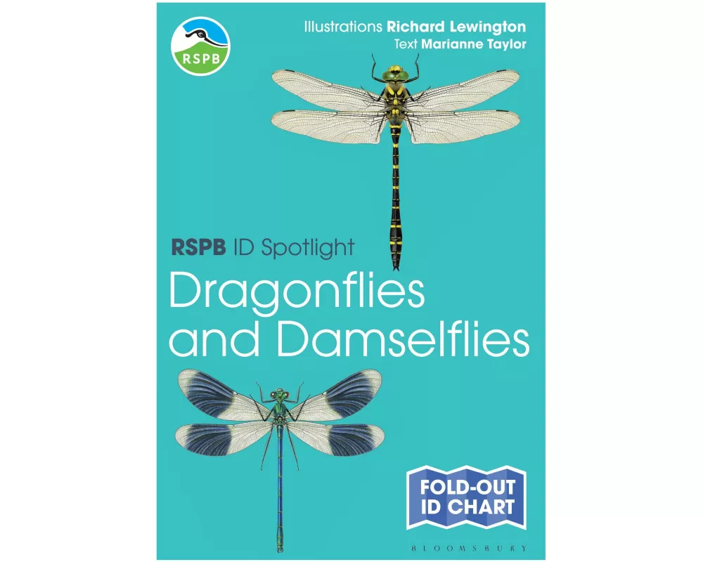 RSPB ID Spotlight - Dragonflies and Damselflies