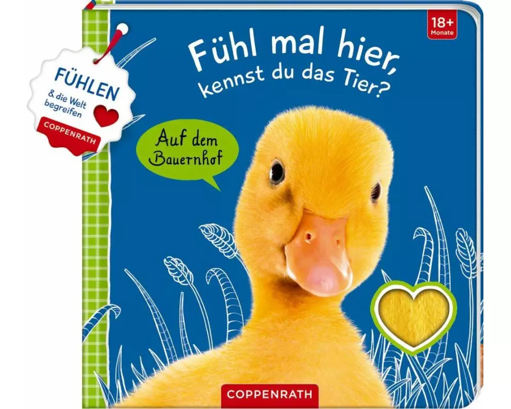 Fühl mal hier, kennst du das Tier? Auf dem Bauernhof