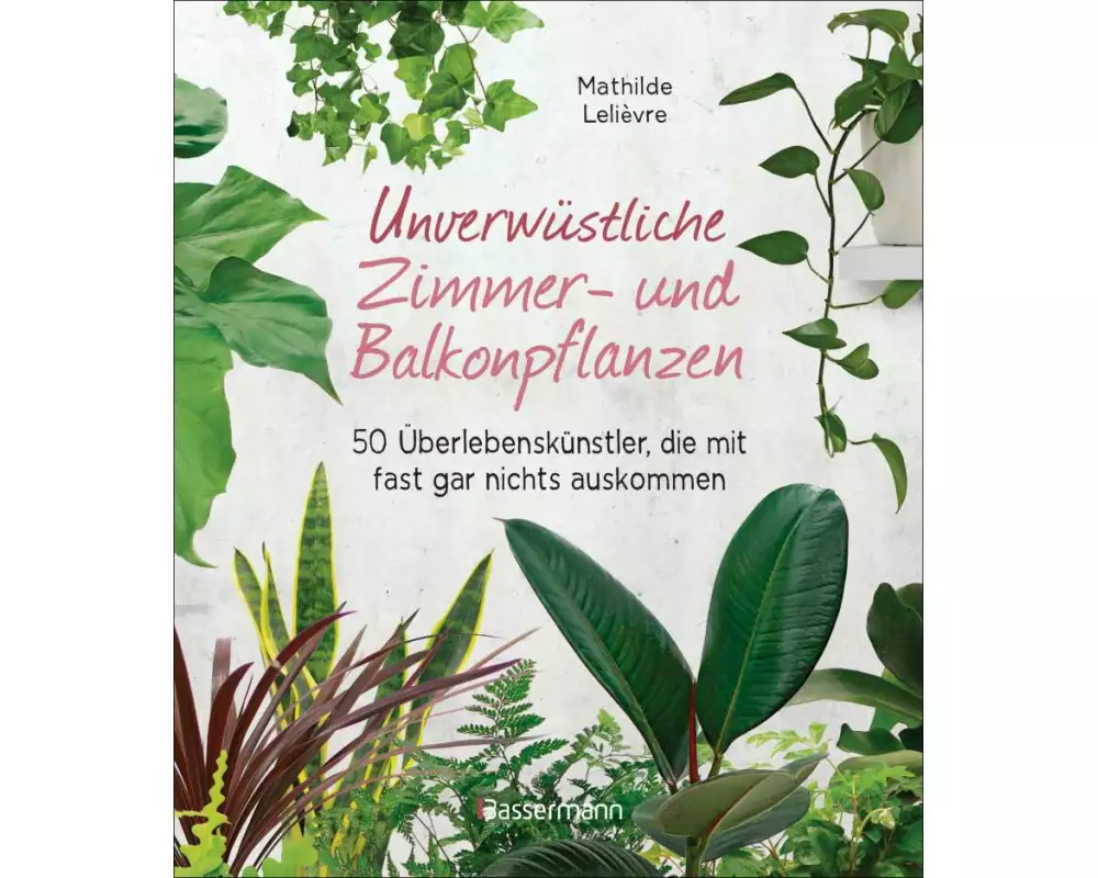 Unverwüstliche Zimmer- und Balkonpflanzen