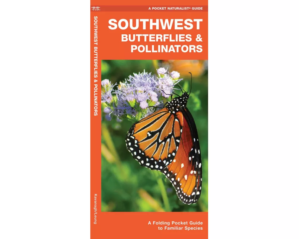 Southwest Butterflies & Pollin