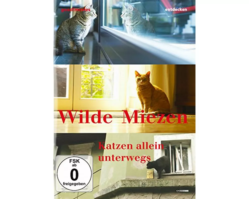 Wilde Miezen-Katzen allein unterwegs