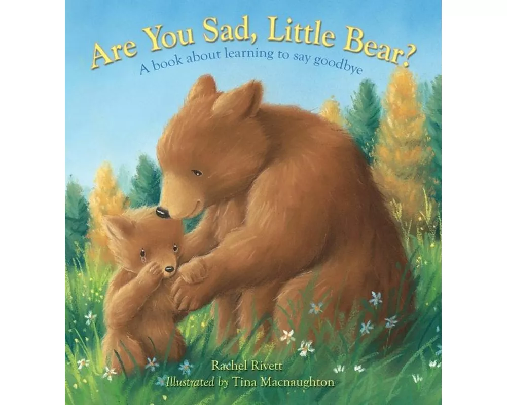 Are You Sad, Little Bear?