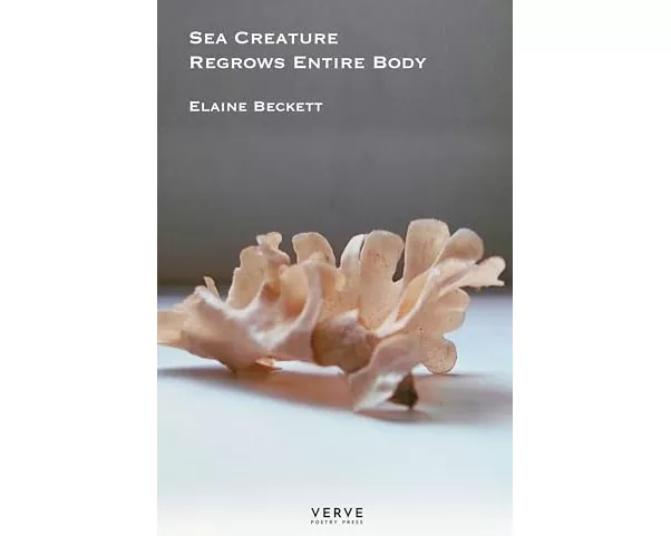 Sea Creature Regrows Entire Body