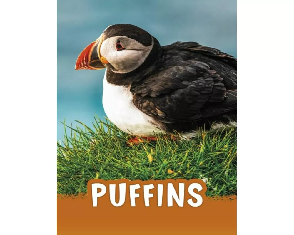 Puffins
