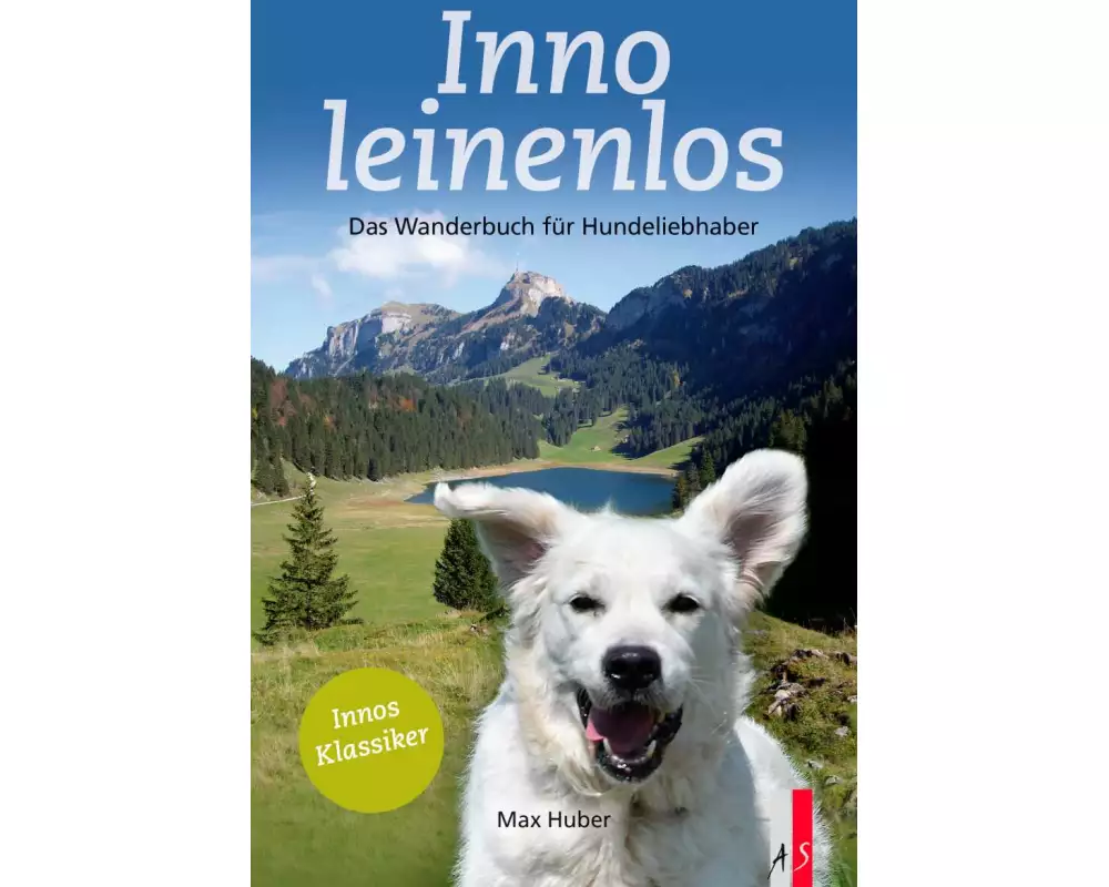 Inno leinenlos