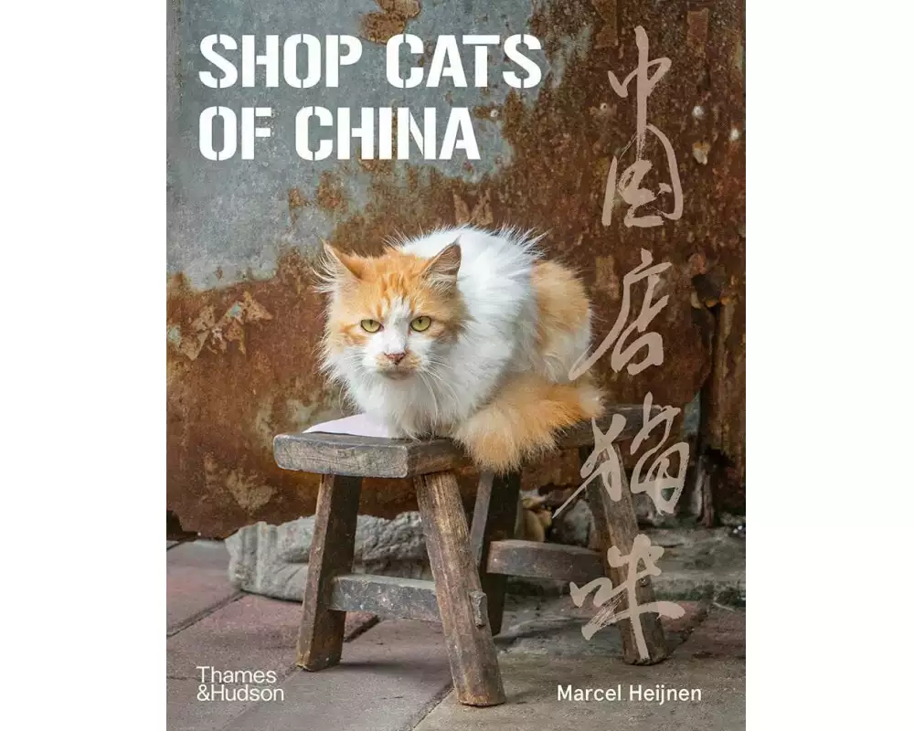 Shop Cats of China