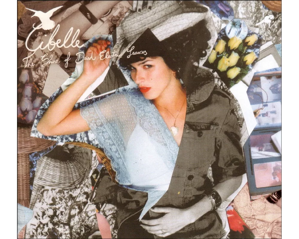 The Shine Of Dried Electric Leaves