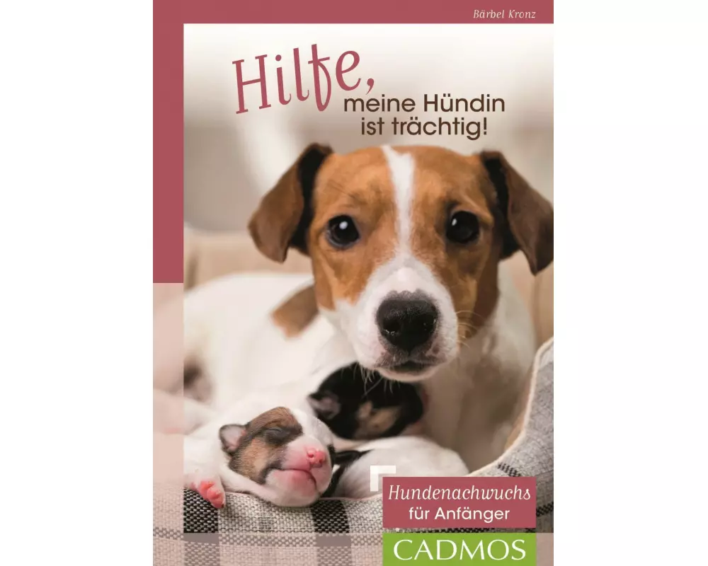 Hilfe, meine Hündin ist trächtig!