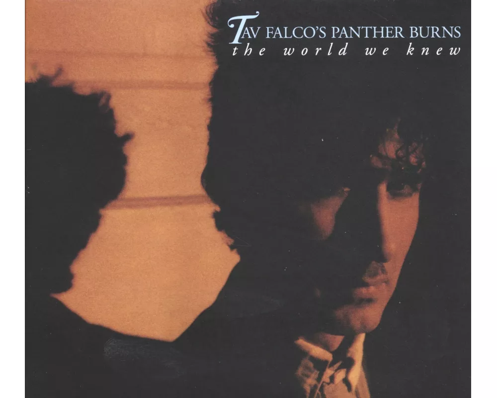 The World We Knew/Shake Rag/Live In Bordeaux