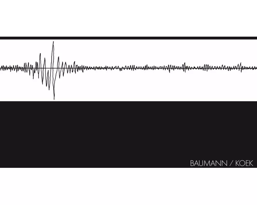 Baumann Koek