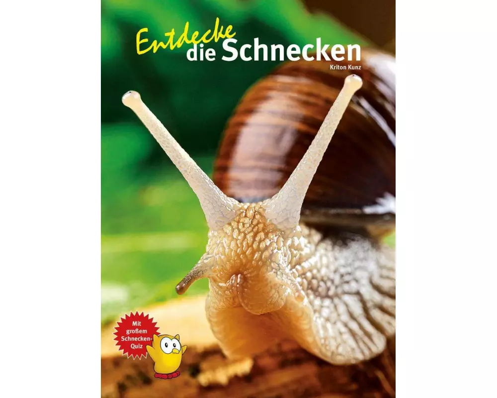 Entdecke die Schnecken