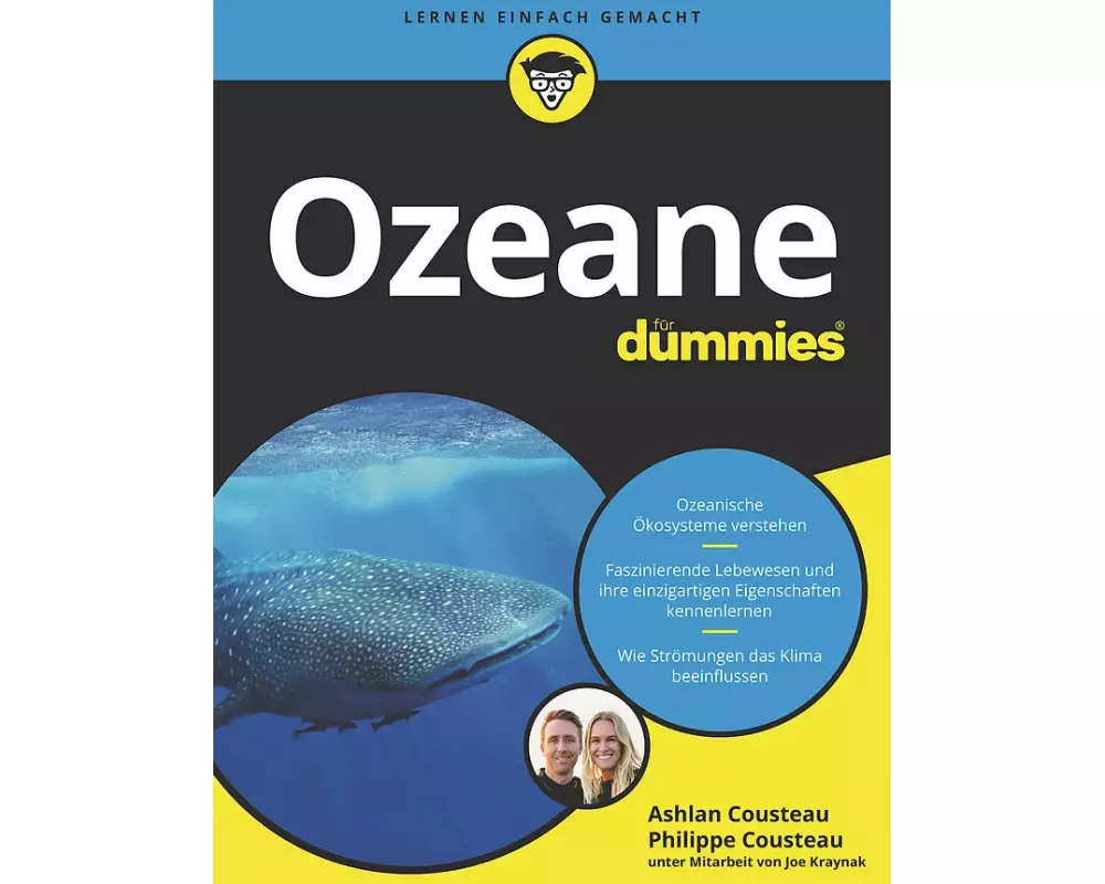 Ozeane für Dummies