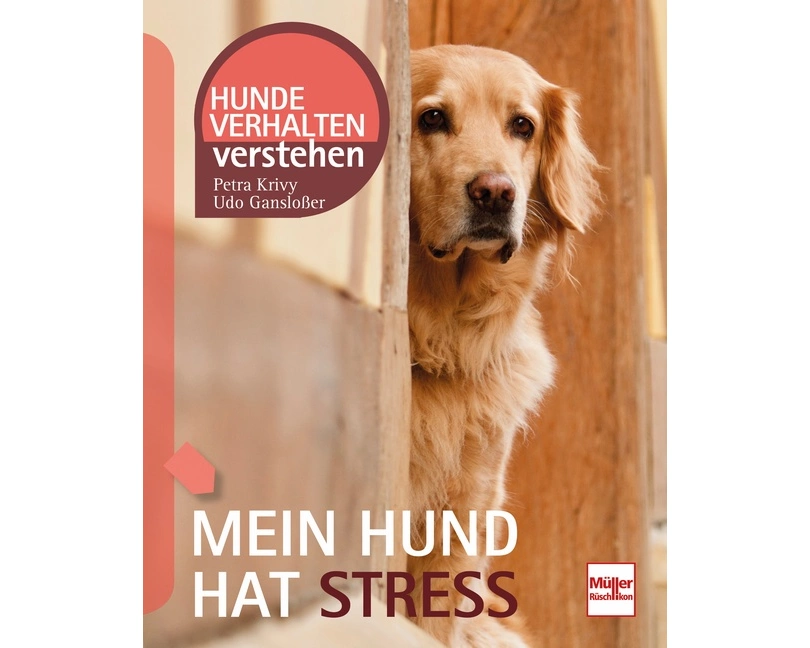 Mein Hund hat Stress