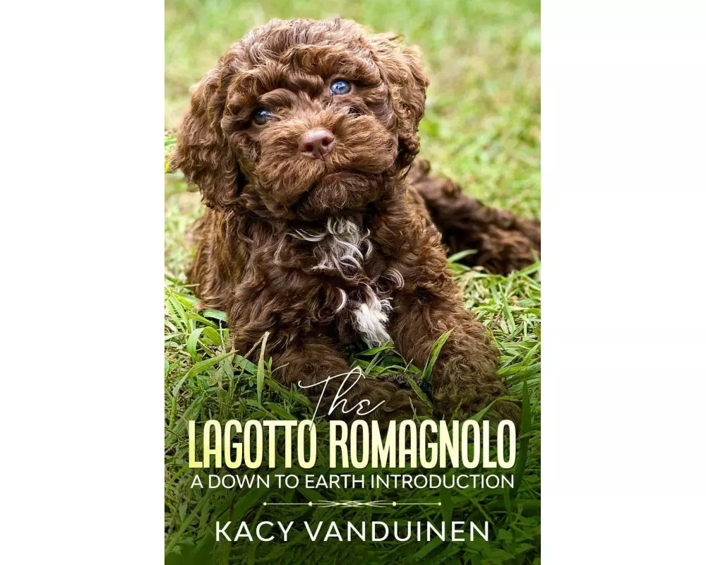 The Lagotto Romagnolo, A Down To Earth Introduction