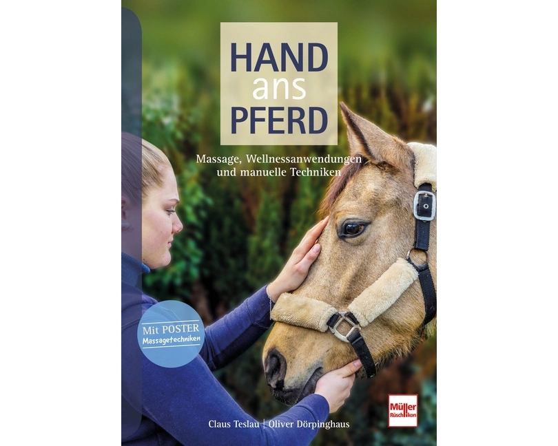 Hand ans Pferd
