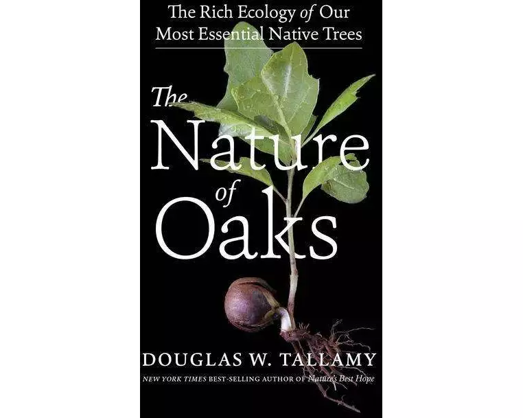 The Nature of Oaks Lib/E: The Rich Ecology of Our Most Essential Native Trees