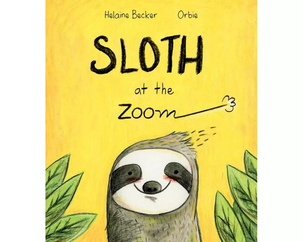 Sloth at the Zoom