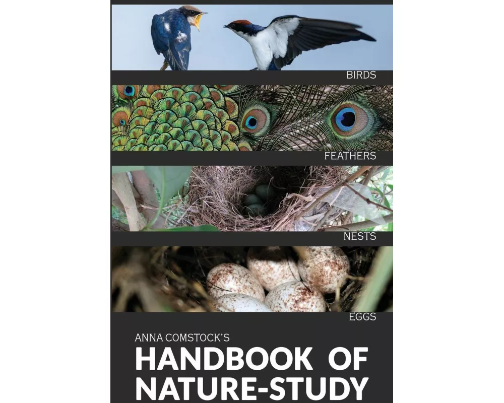 The Handbook Of Nature Study in Color - Birds