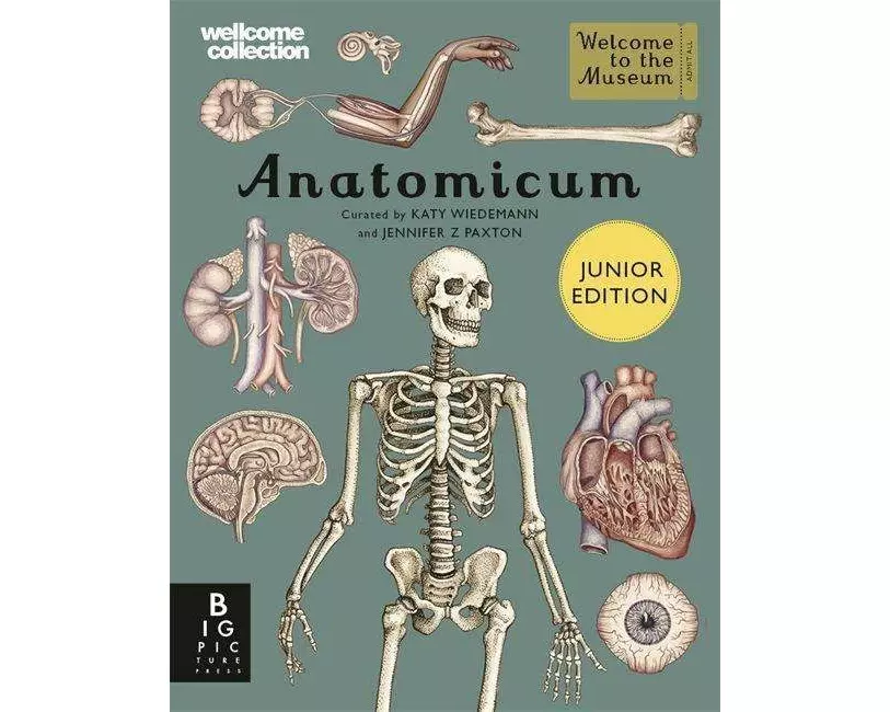Anatomicum Junior
