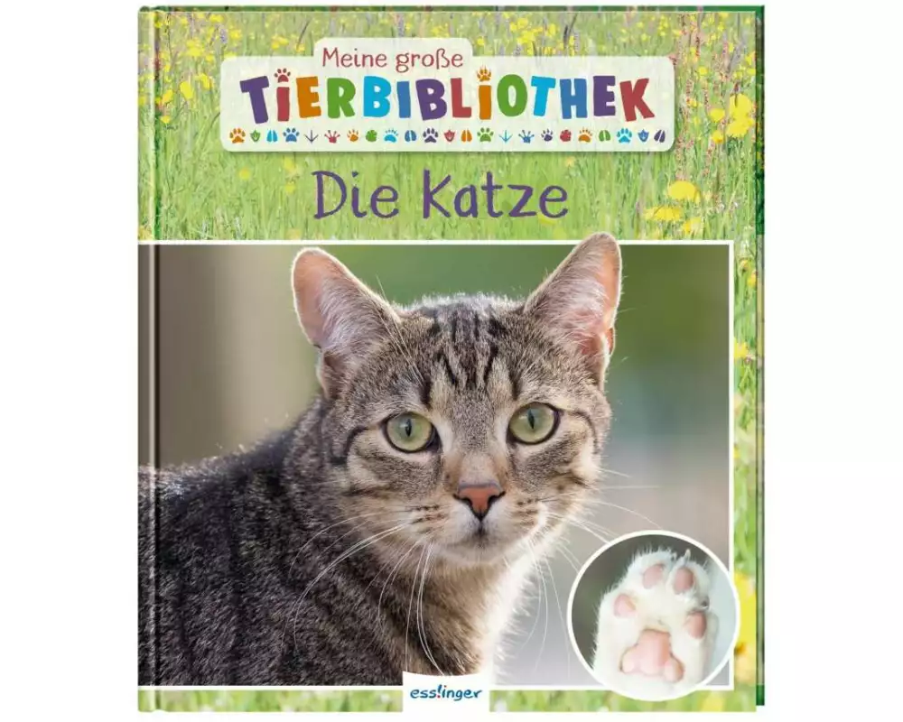 Meine große Tierbibliothek: Die Katze