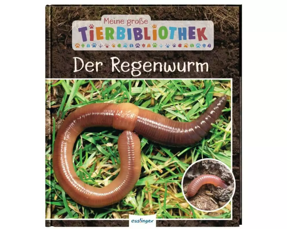 Meine große Tierbibliothek: Der Regenwurm
