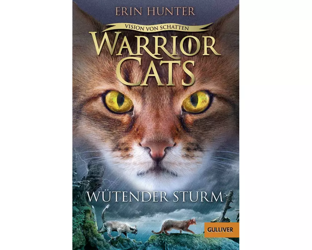 Warrior Cats - Vision von Schatten. Wütender Sturm