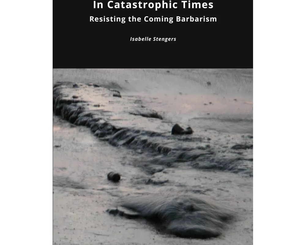 In Catastrophic Times