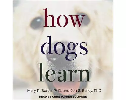 How Dogs Learn