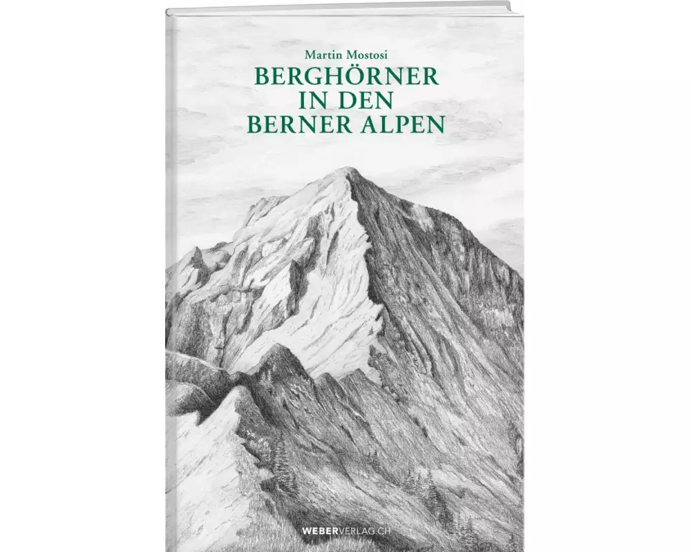 Berghörner in den Berner Alpen