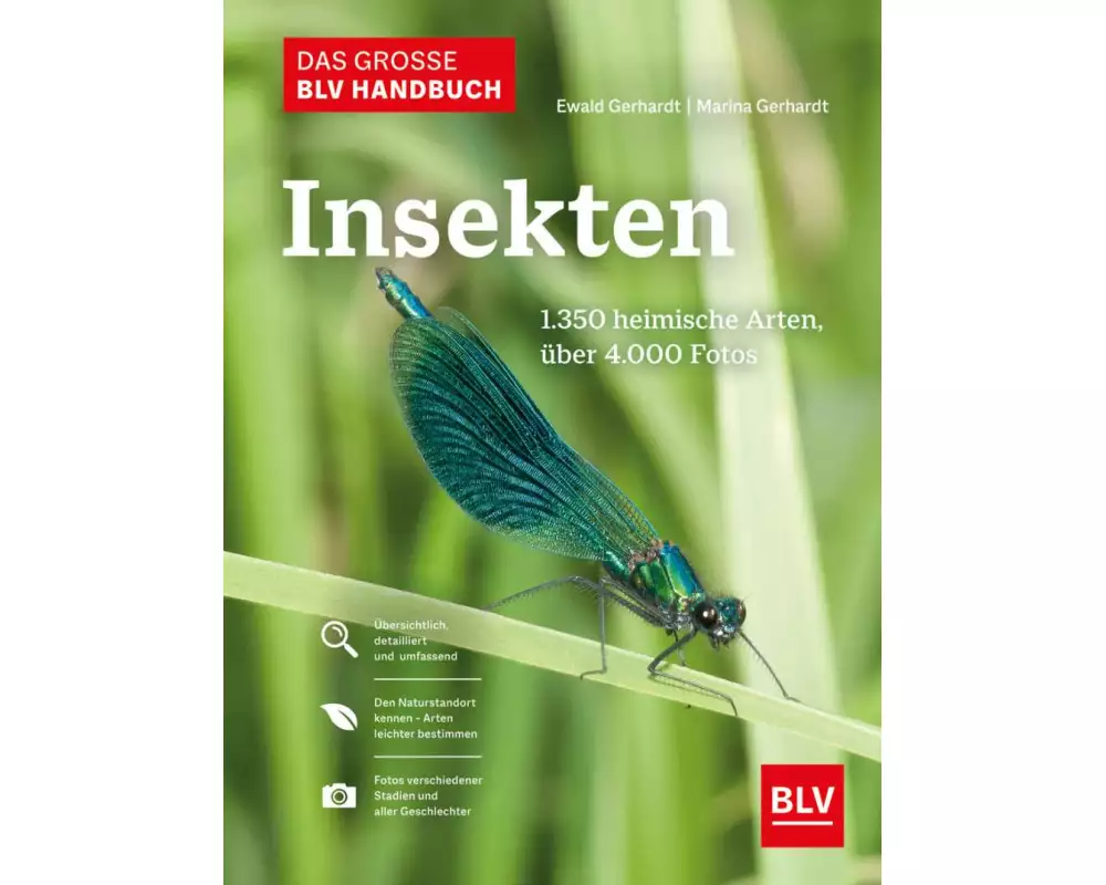 Das große BLV Handbuch Insekten