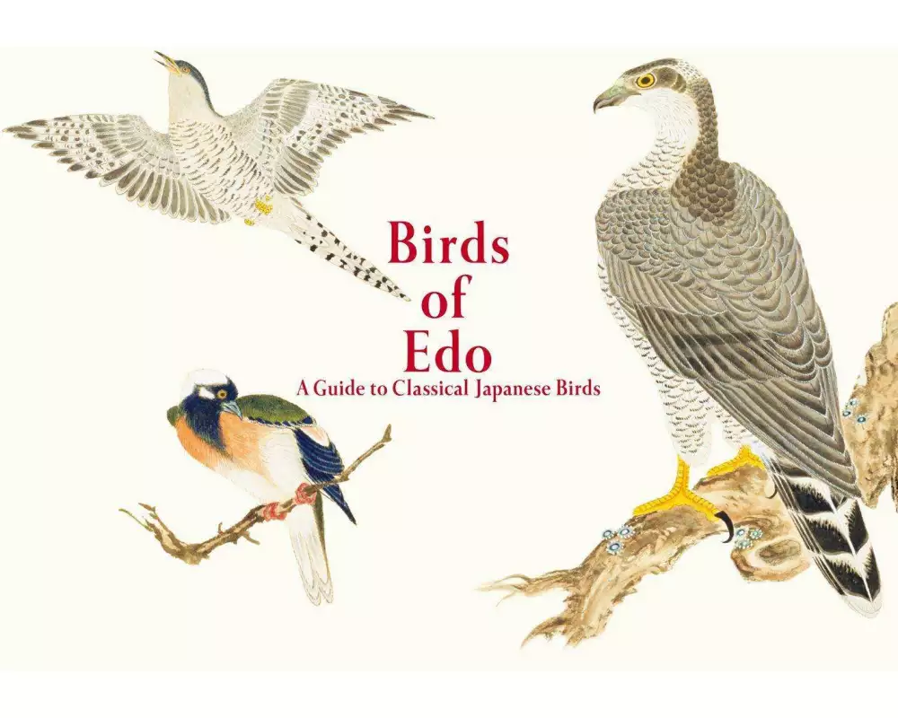 Birds of Edo
