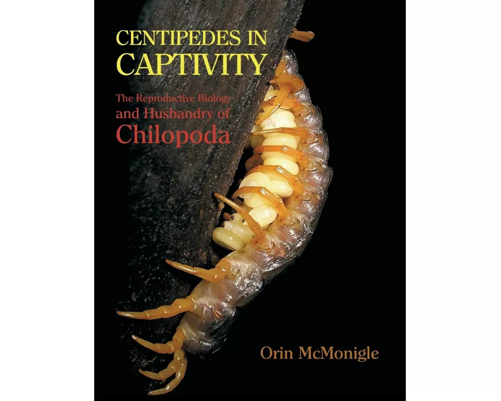 Centipedes in Captivity