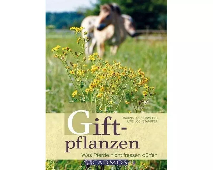 Giftpflanzen