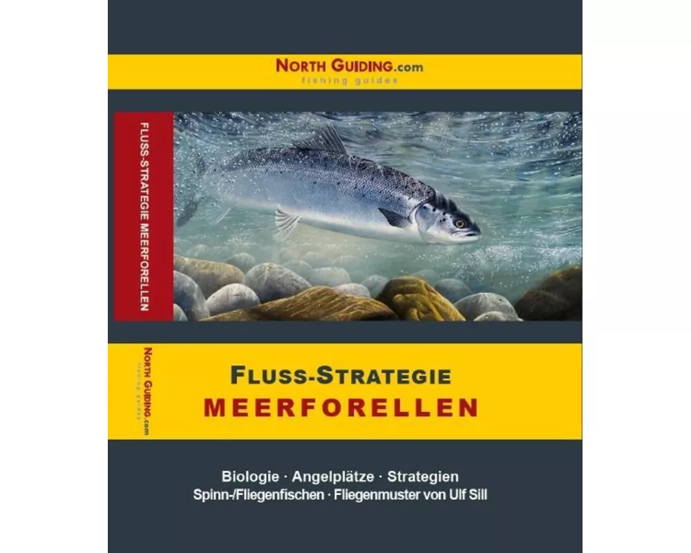 Fluss-Strategie - Meerforellen