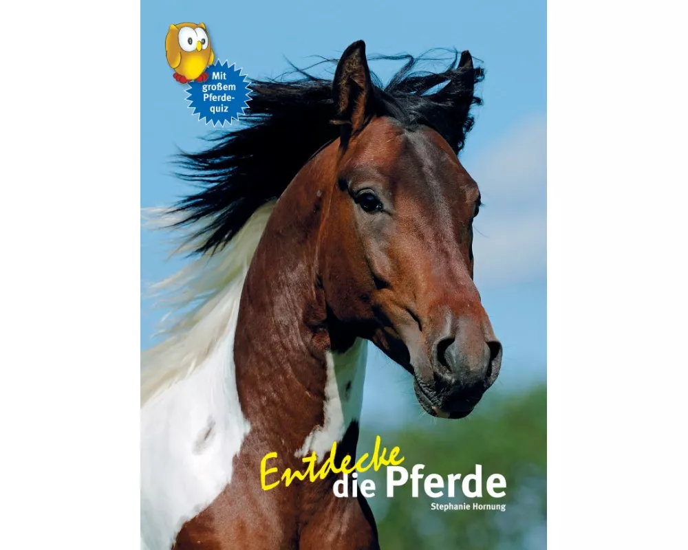 Entdecke die Pferde
