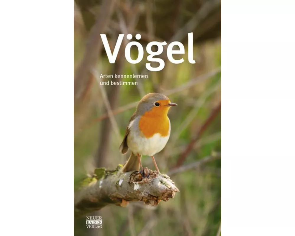 Vögel