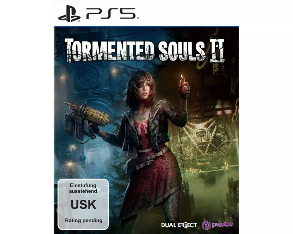 Flashpoint Tormented Souls 2 [PS5] (D) (Box)