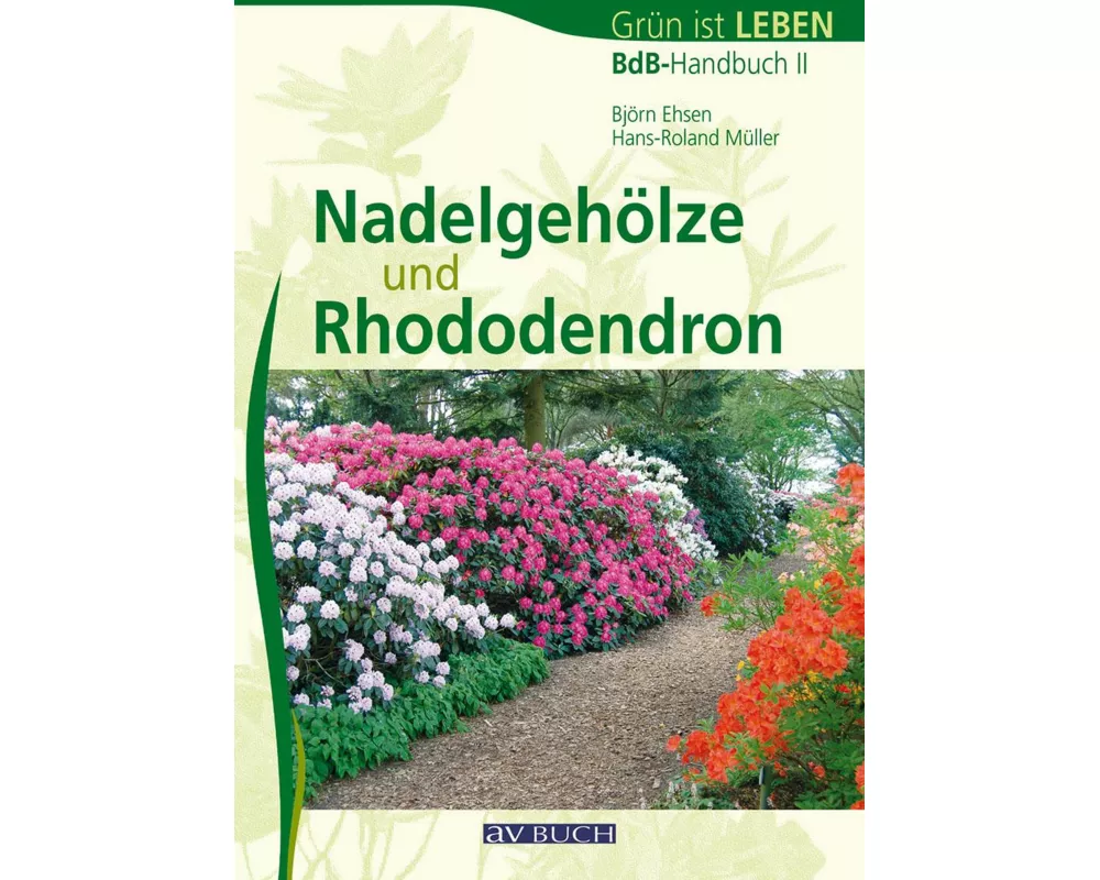 Nadelgehöze und Rhododendron