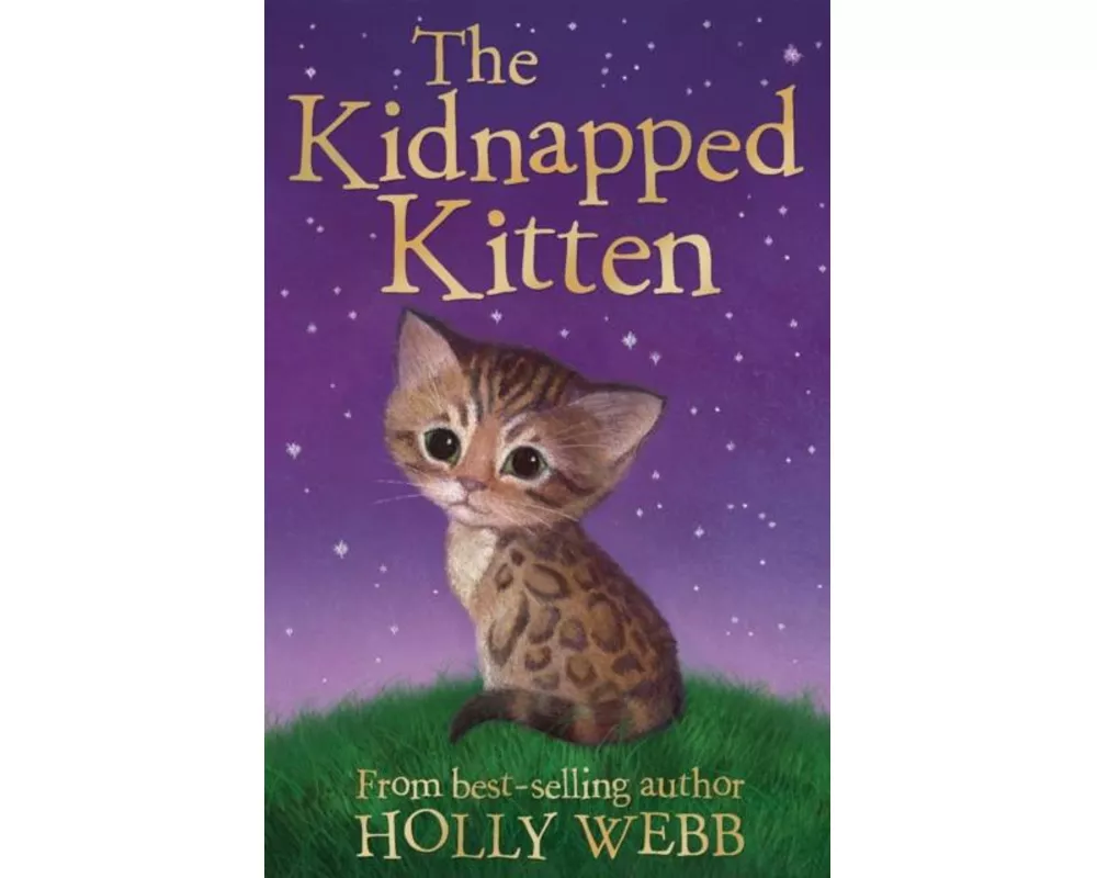 The Kidnapped Kitten