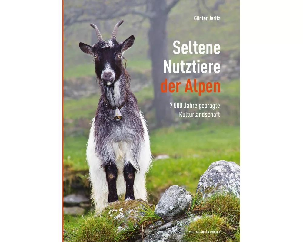 Seltene Nutztiere der Alpen