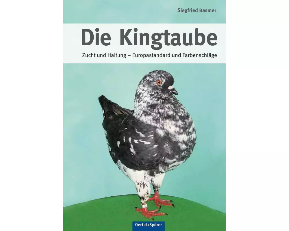 Die Kingtaube