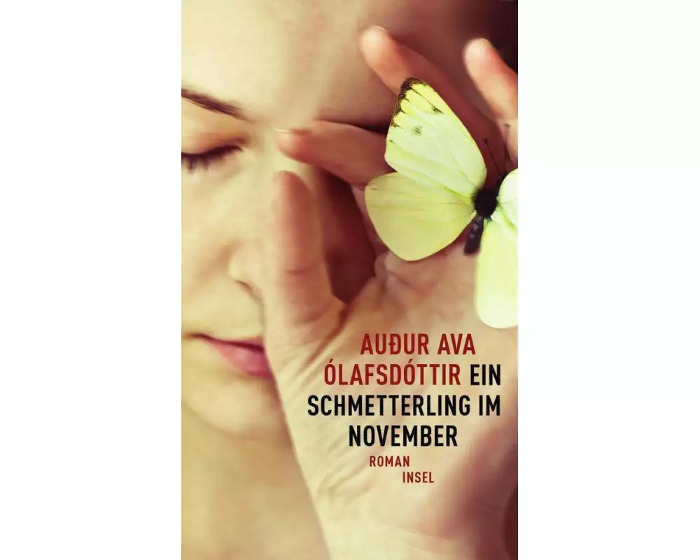 Ein Schmetterling im November