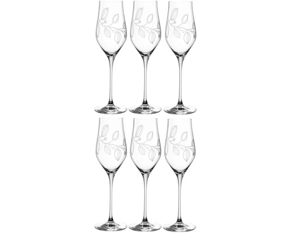 Leonardo Champagnerglas Boccio 340 ml, 6 Stück, Transparent