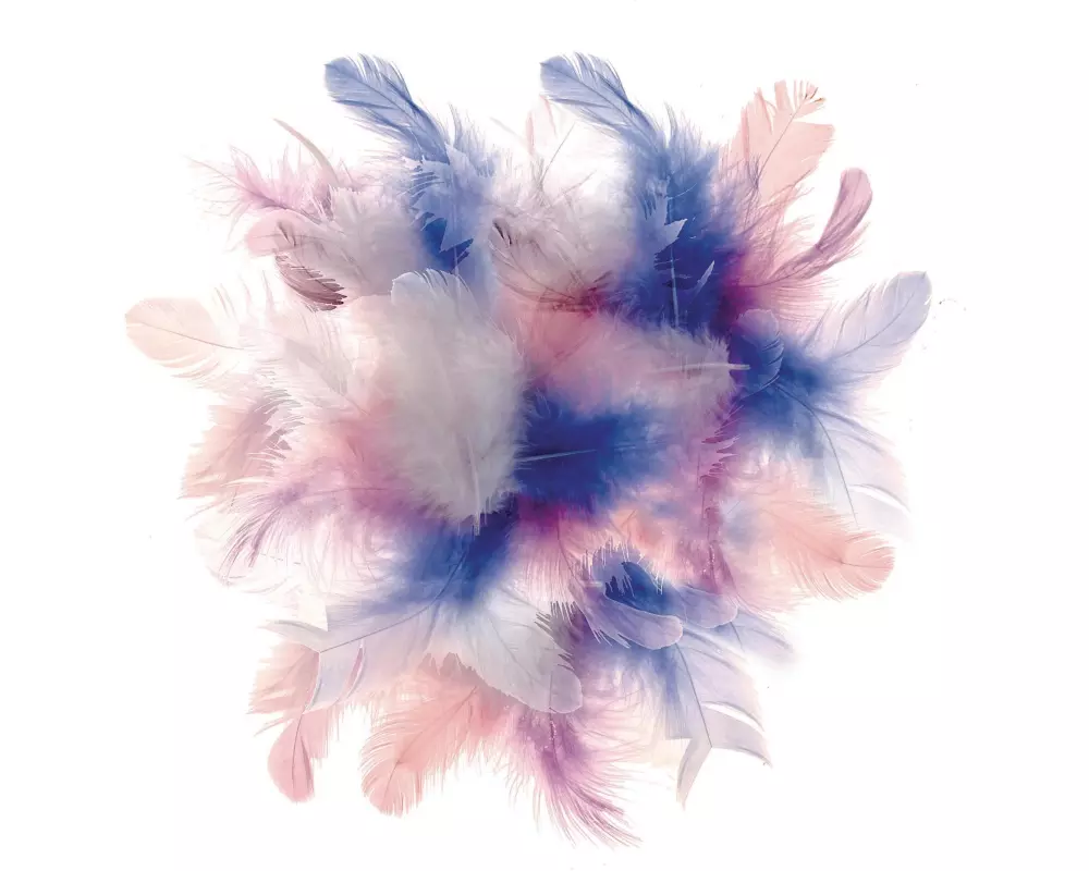 Glorex Federn Deco Blau/Pink/Weiss